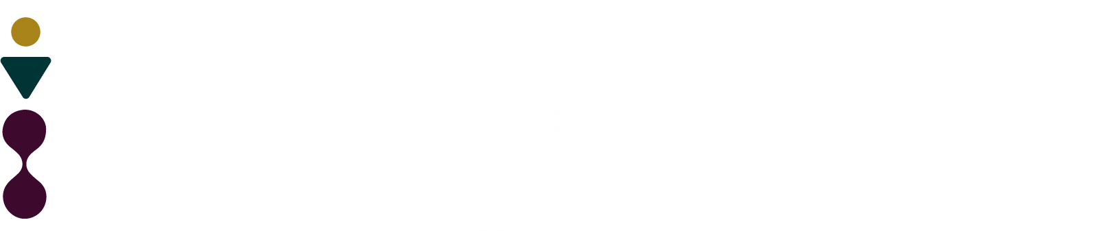CEIPM2025